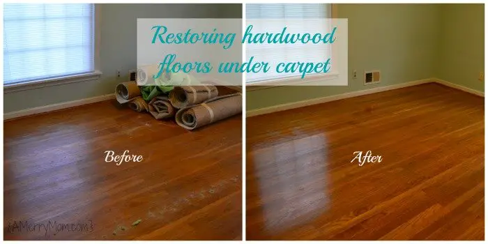 Restoring Hardwood Floors Under Carpet, How To Remove Stains From Hardwood Floors Without Sanding